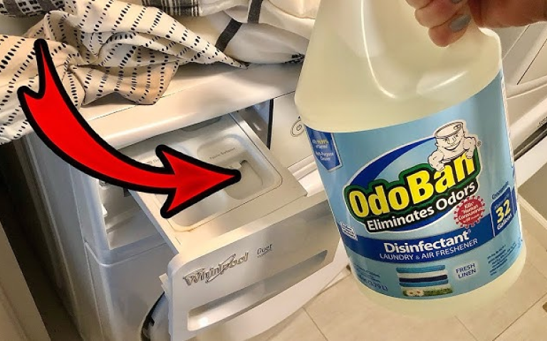 Photo of a disinfectant held in front of a washing machine